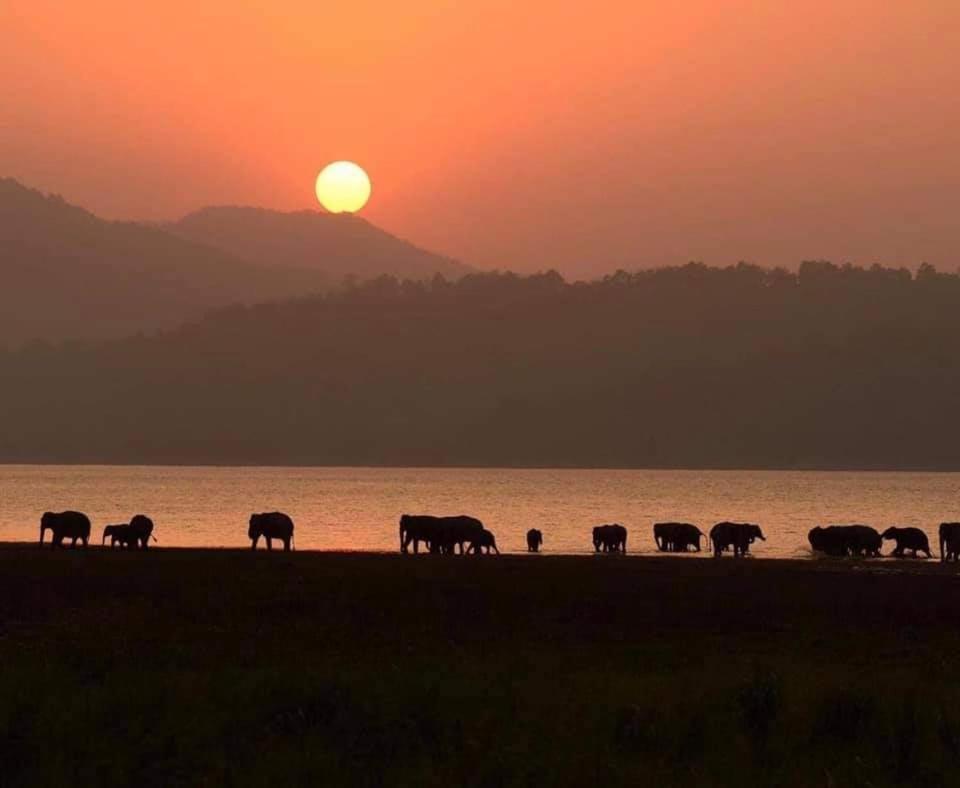 Wild Lake Side Udawalawe Bagian luar foto