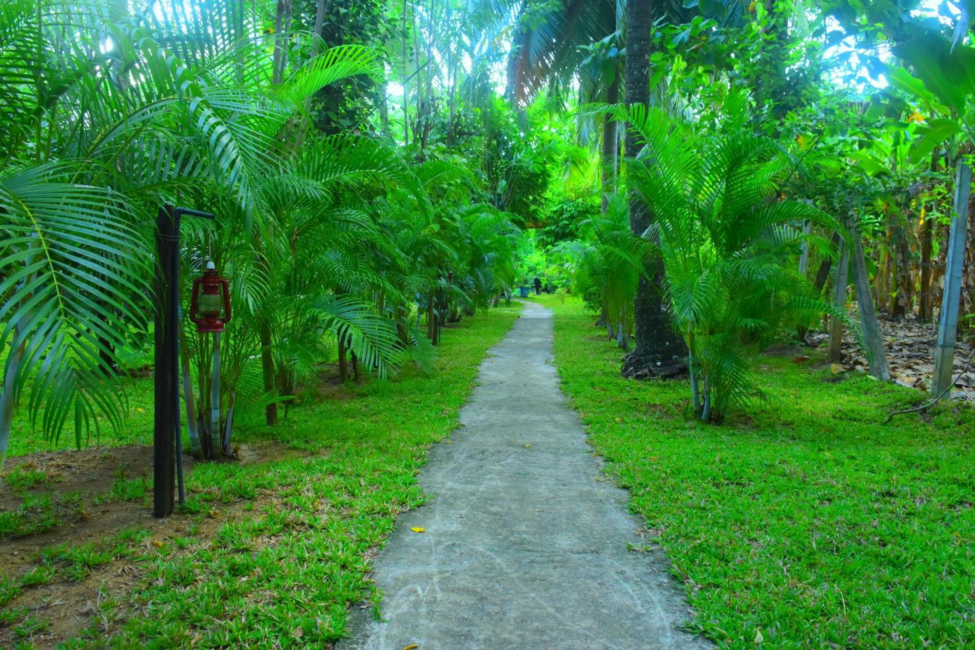Wild Lake Side Udawalawe Bagian luar foto